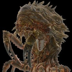 Meet your Posher, Bertt